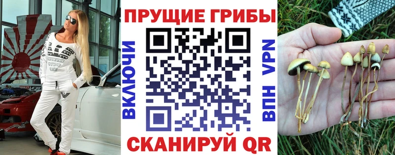 Галлюциногенные грибы мухоморы  shop Telegram  Новосиль 